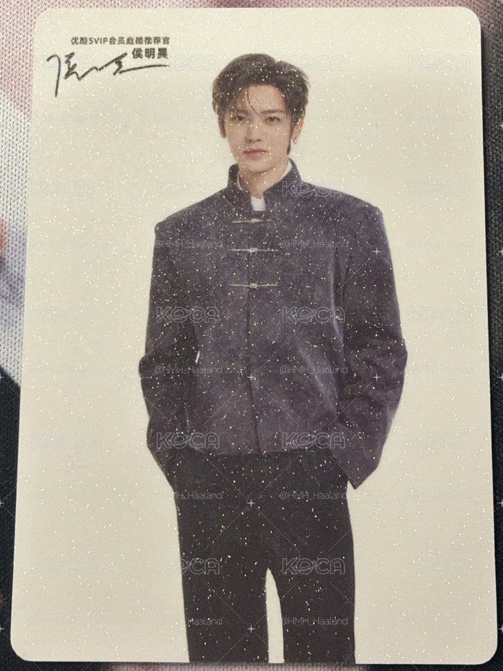 侯明昊優酷SVIP 推薦官小卡