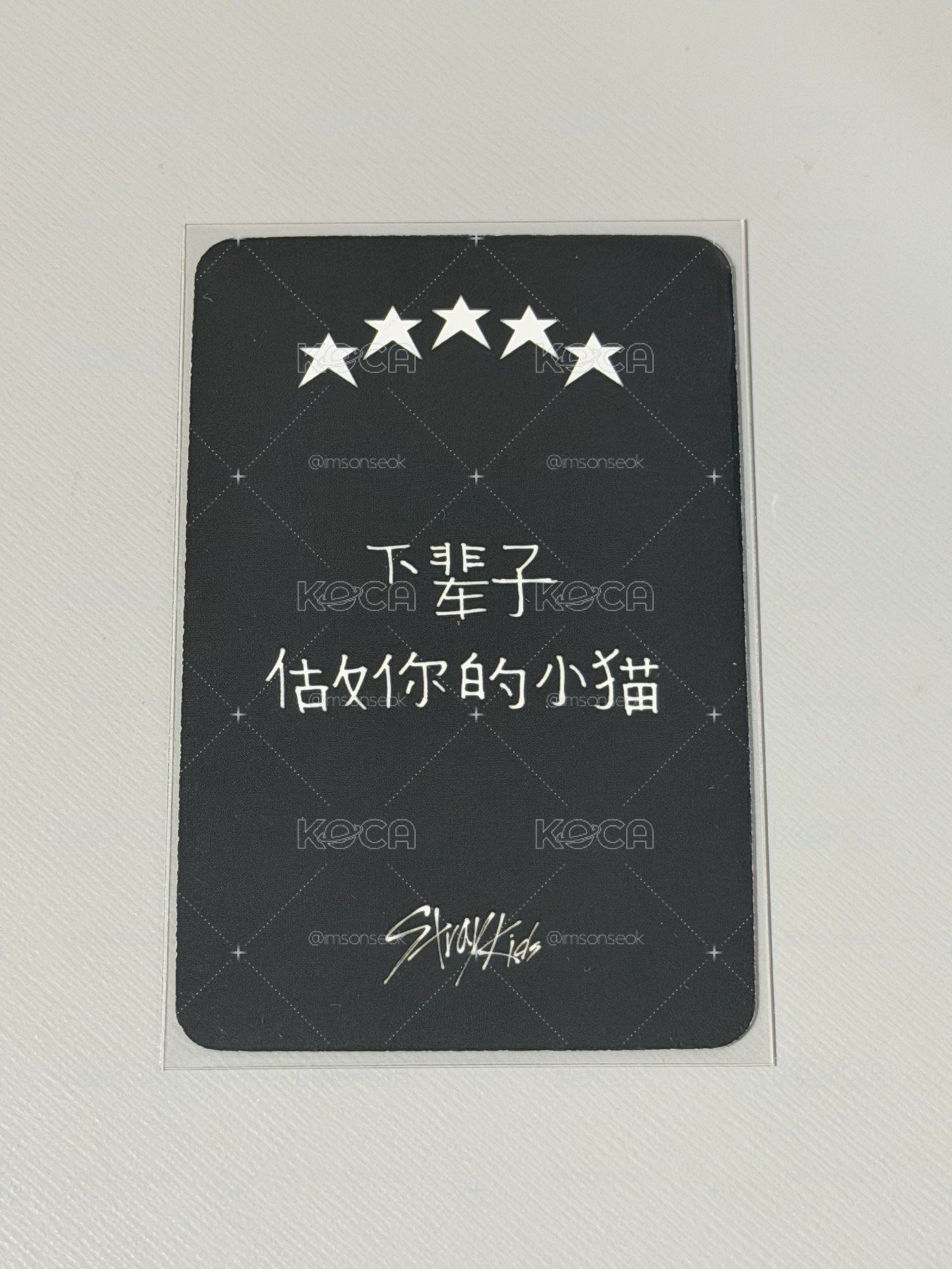 菲中背-下輩子做你的小貓