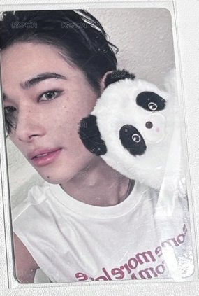 正二一直娛熊貓力
