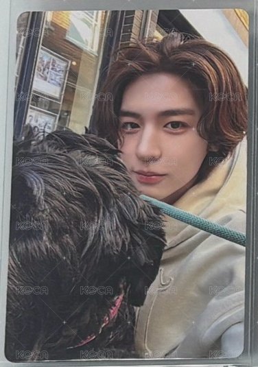 狗狗🐶譞