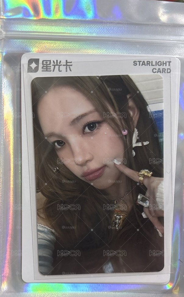 荷蘭兔3星