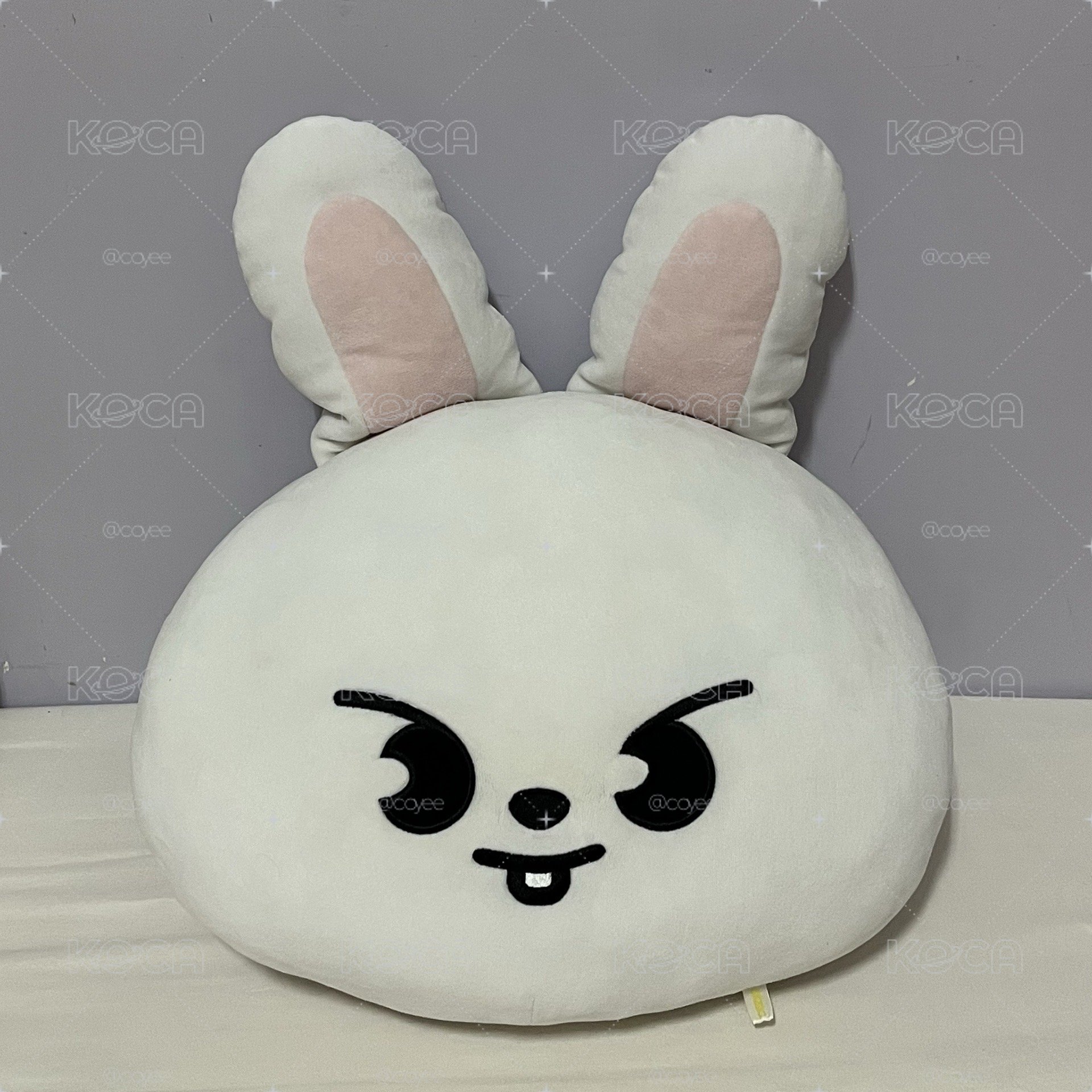 一代李畢抱枕