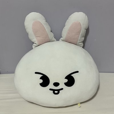 一代李畢抱枕