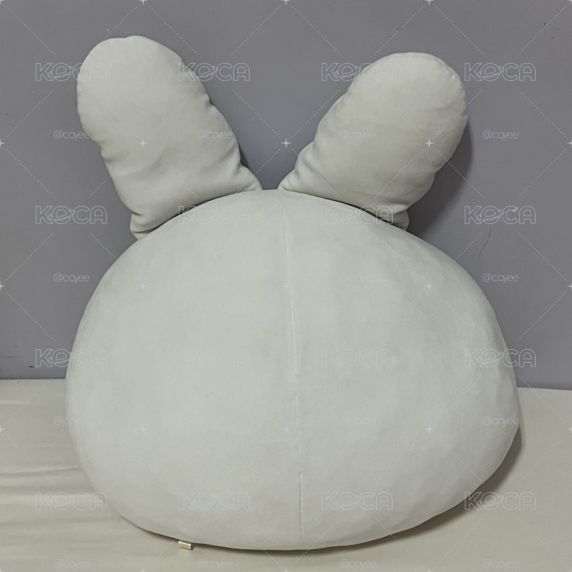 一代李畢抱枕