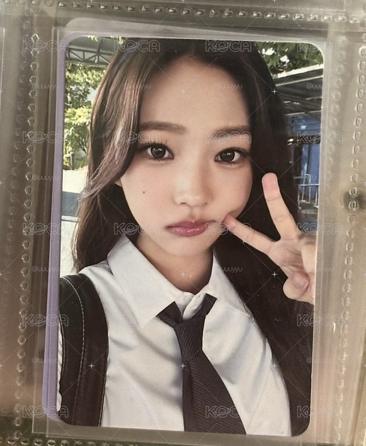 史黛拉指南書全套現貨