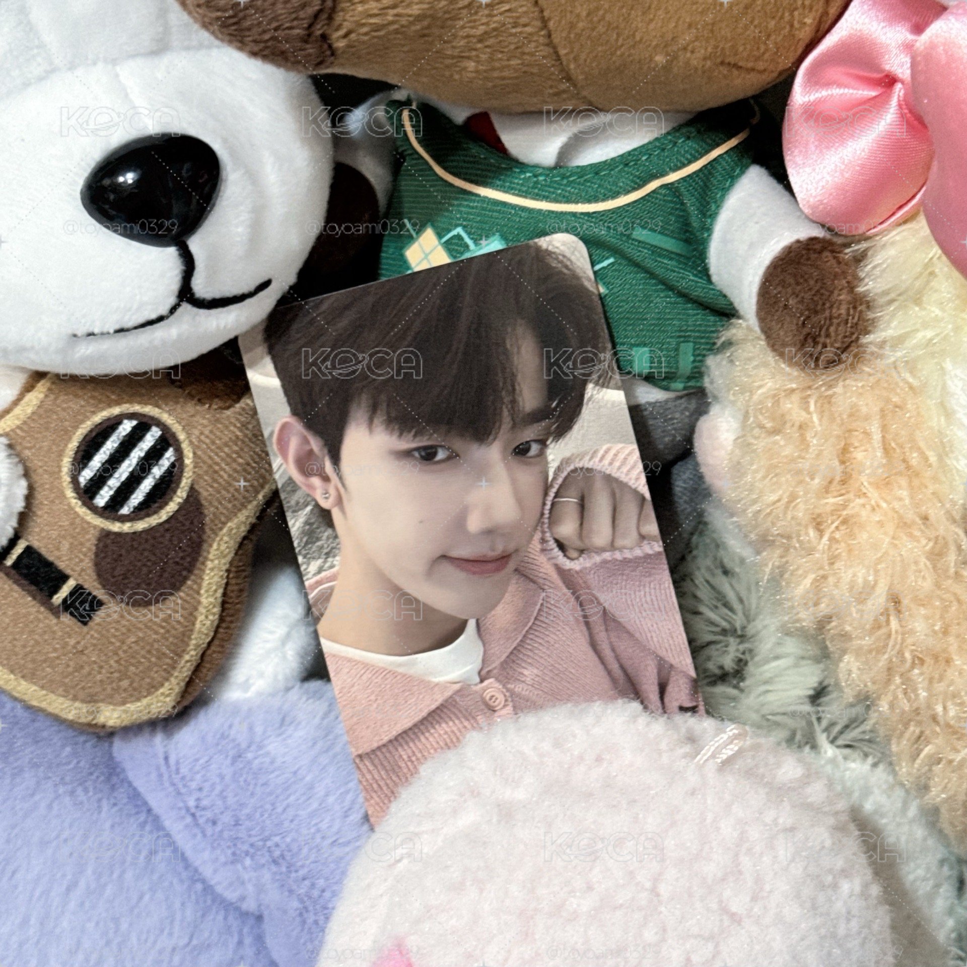 🌹ZB1 迷一 el粉拳昊