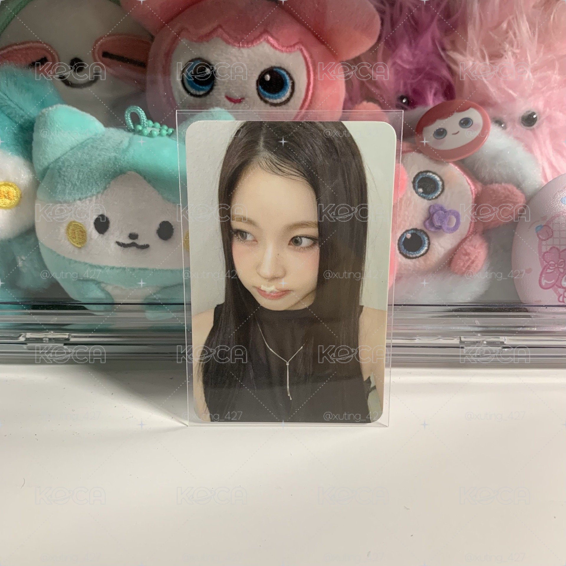 🌼卡布奇諾圭