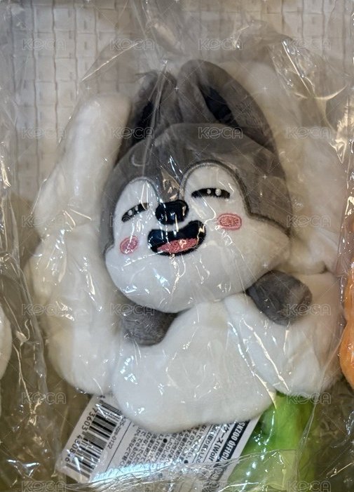 燦 筆袋