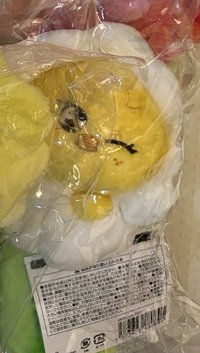 菲筆袋