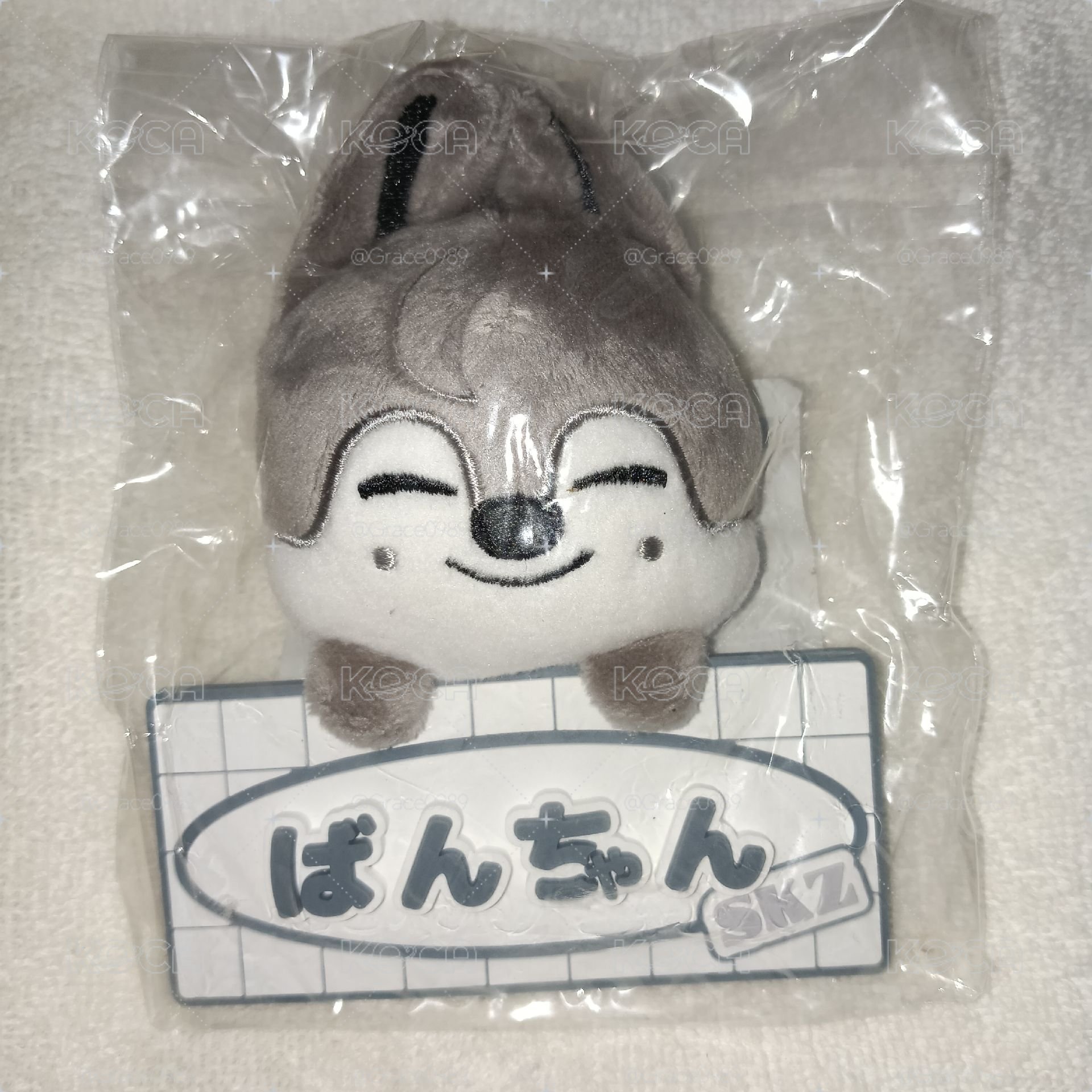 日本快閃 玩具世界 FC燦狼姓名牌吊飾