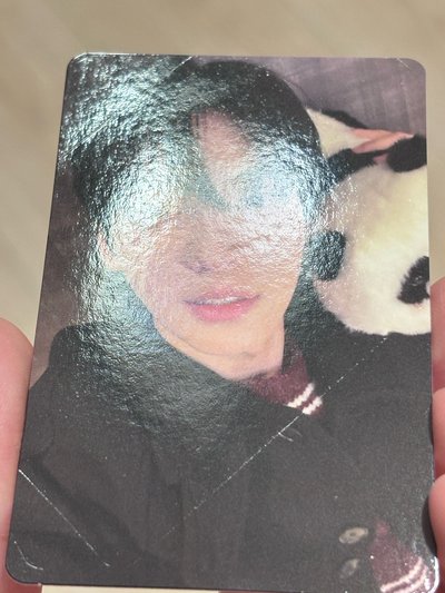 💜熊貓貓卡 熊薩摩耶卡 熊黃金獵犬卡