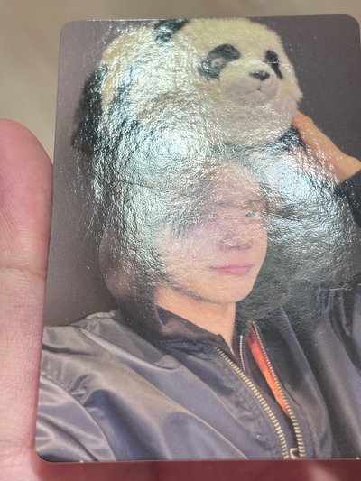 💜熊貓貓卡 熊薩摩耶卡 熊黃金獵犬卡