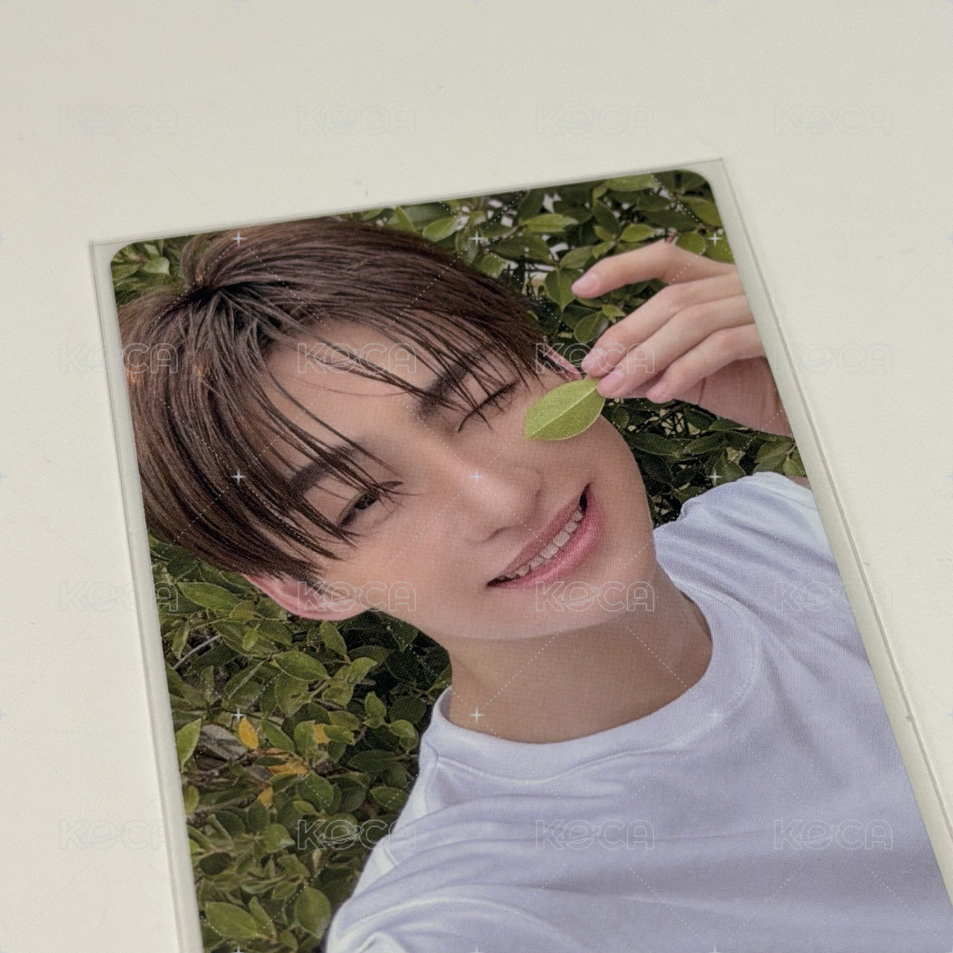 迷二🍃