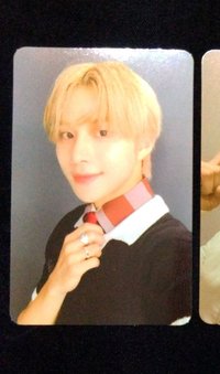 清純小狗