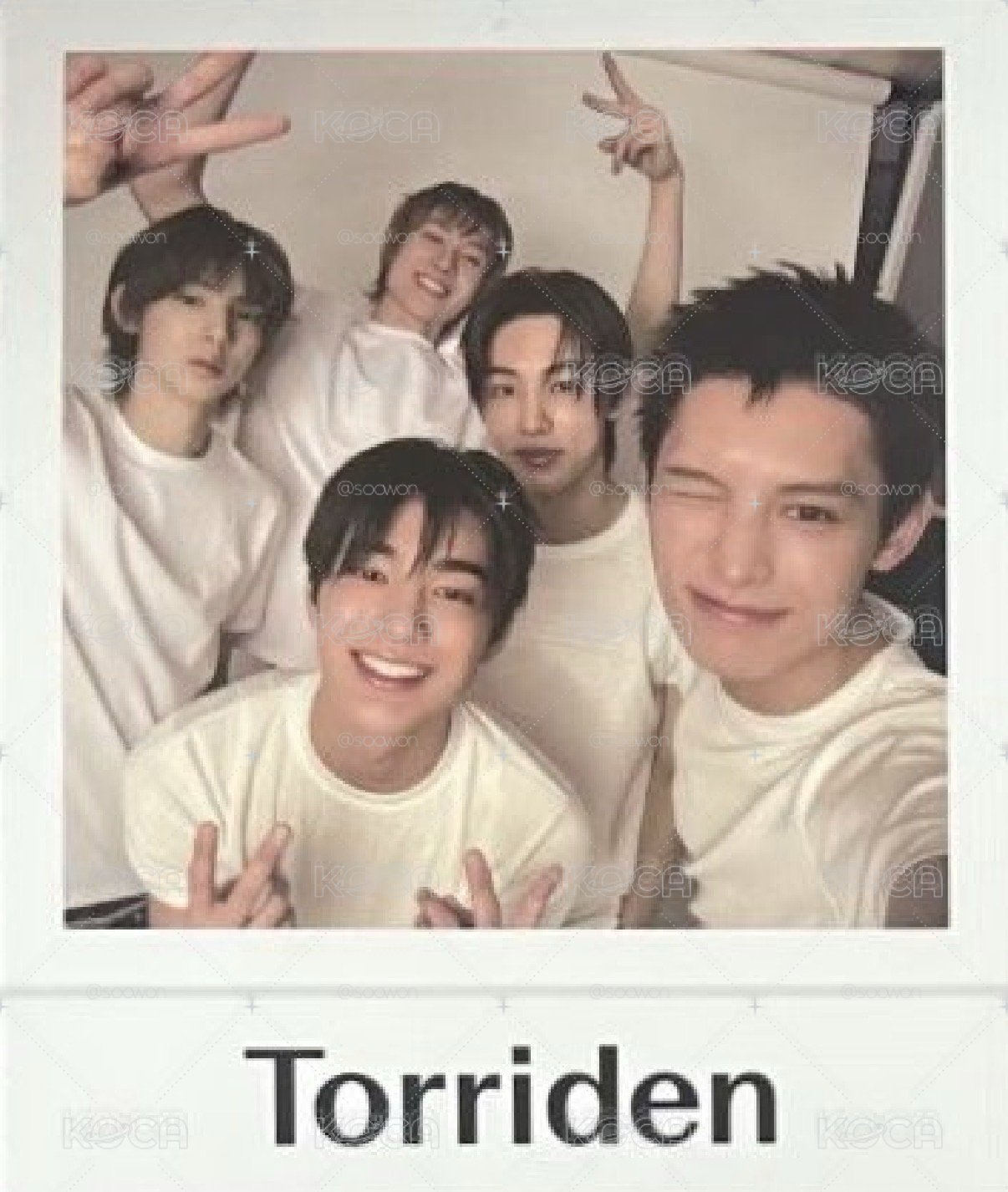 Torriden oy 代言卡 整套