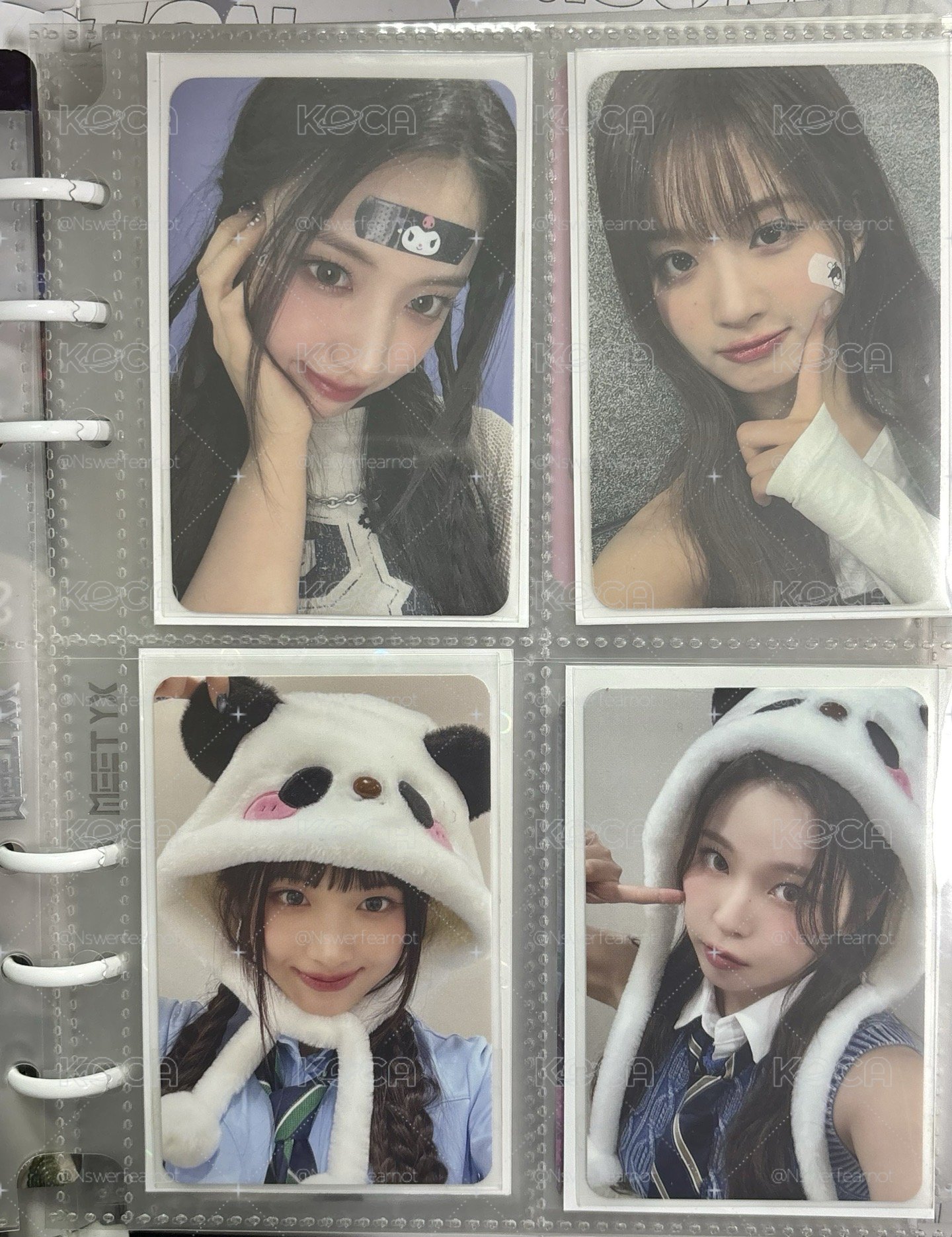 可愛的貓狗