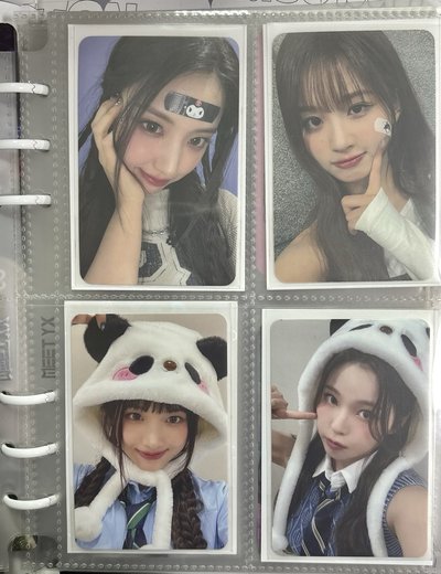 可愛的貓狗