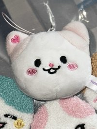 原皮娜