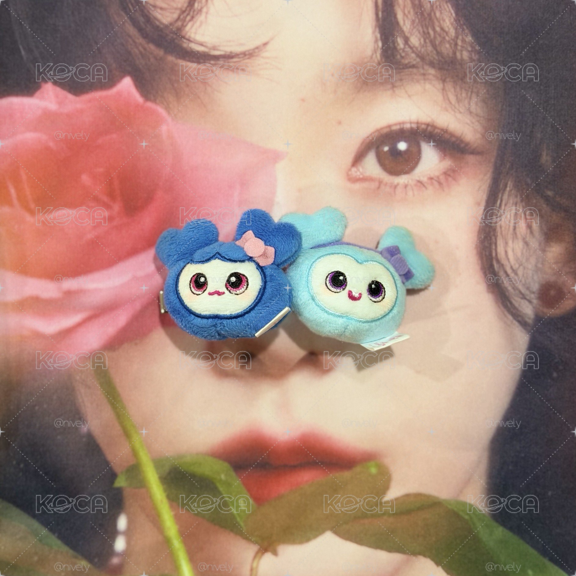 TWICE LOVELY GIGO髮夾 娜瑜🩵💙