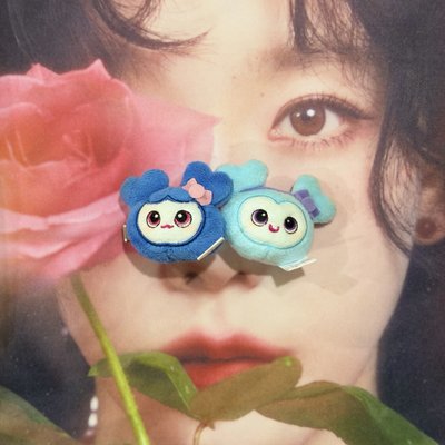TWICE LOVELY GIGO髮夾 娜瑜🩵💙