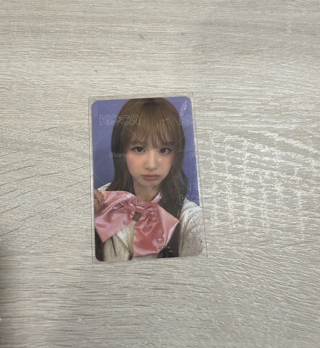 薛