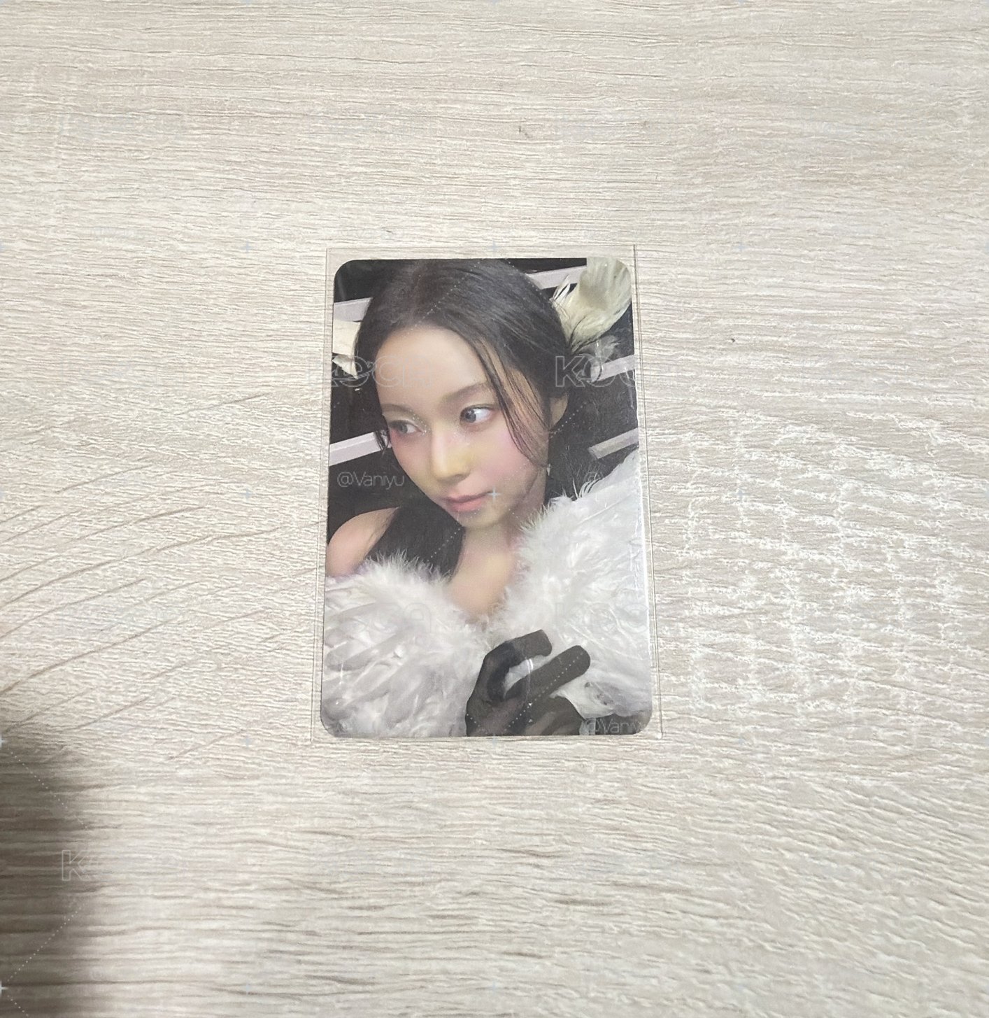 圭