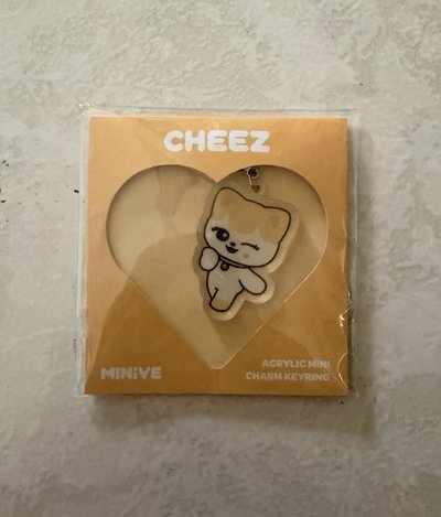 LIZ MINIVE PARK 快閃店 鑰匙圈吊飾 壓克力吊飾 CHEEZ