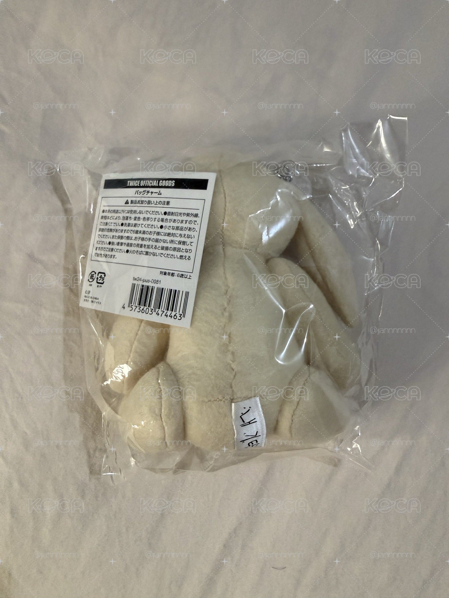TWICE冬季快閃 彩英設計娃