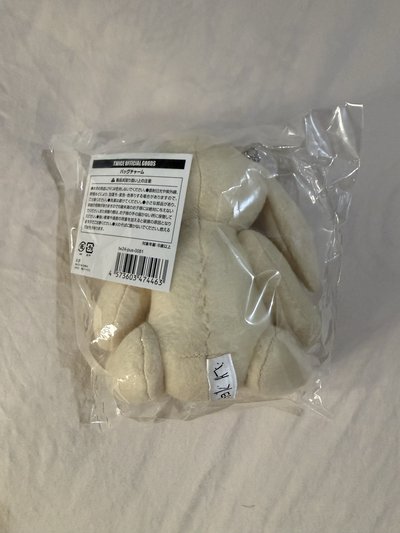 TWICE冬季快閃 彩英設計娃