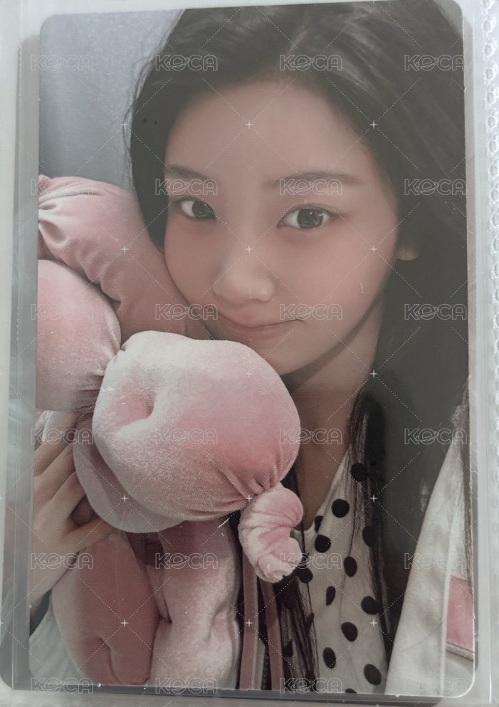 NOT CUTE ANYMORE 專輯卡 Pouch B ver.wonhee