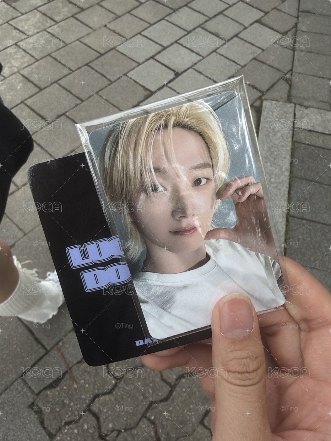 粽卡 不含Lucky Door