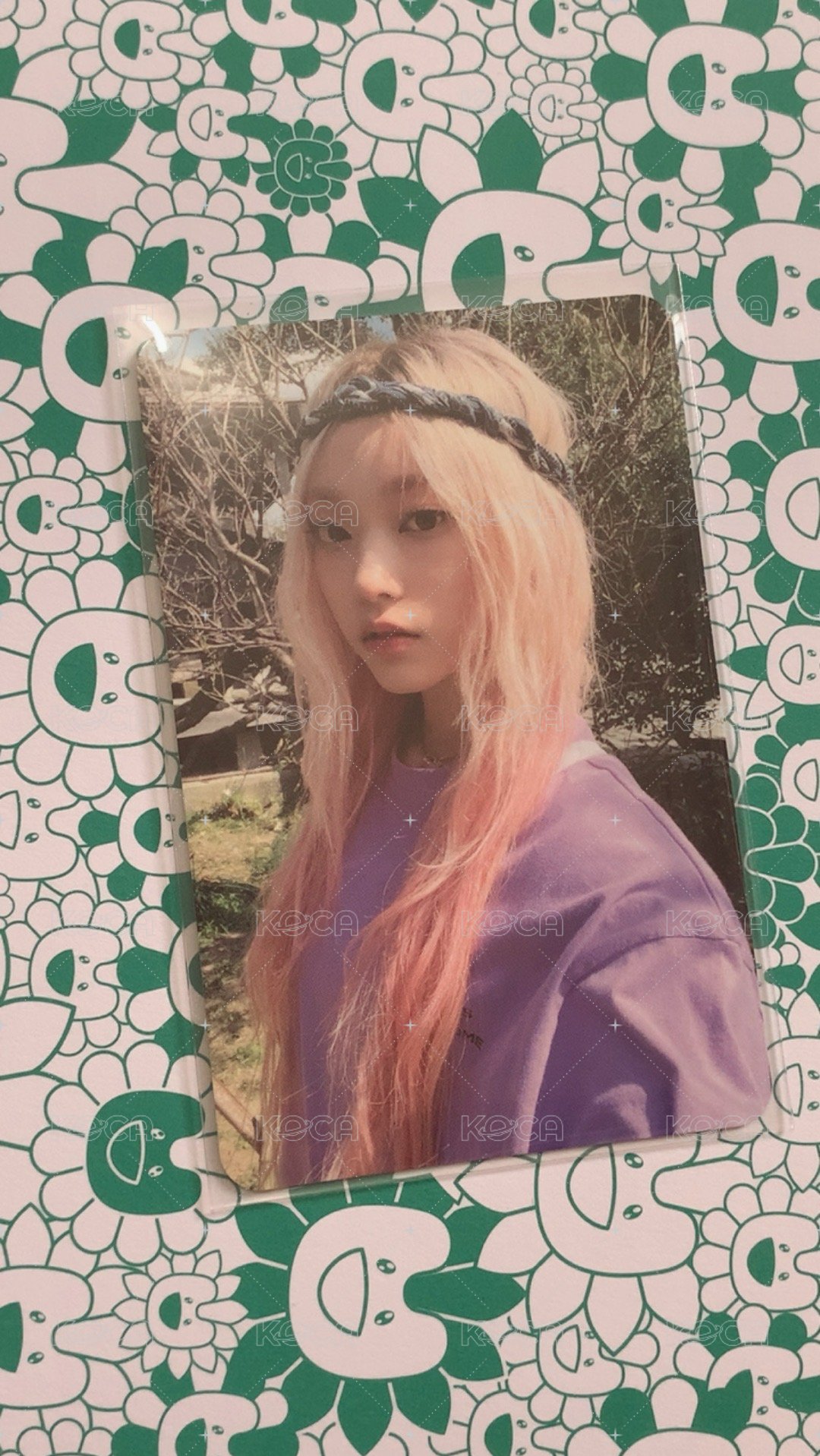粉髮🐱