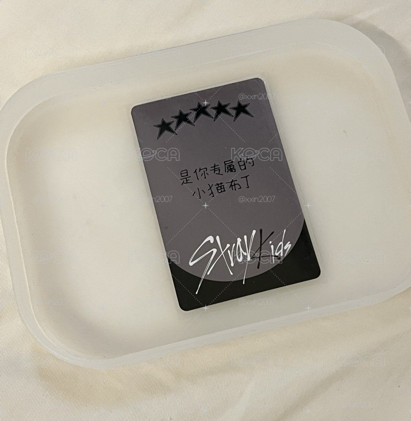 中背：是你專屬的小貓布丁🍮
