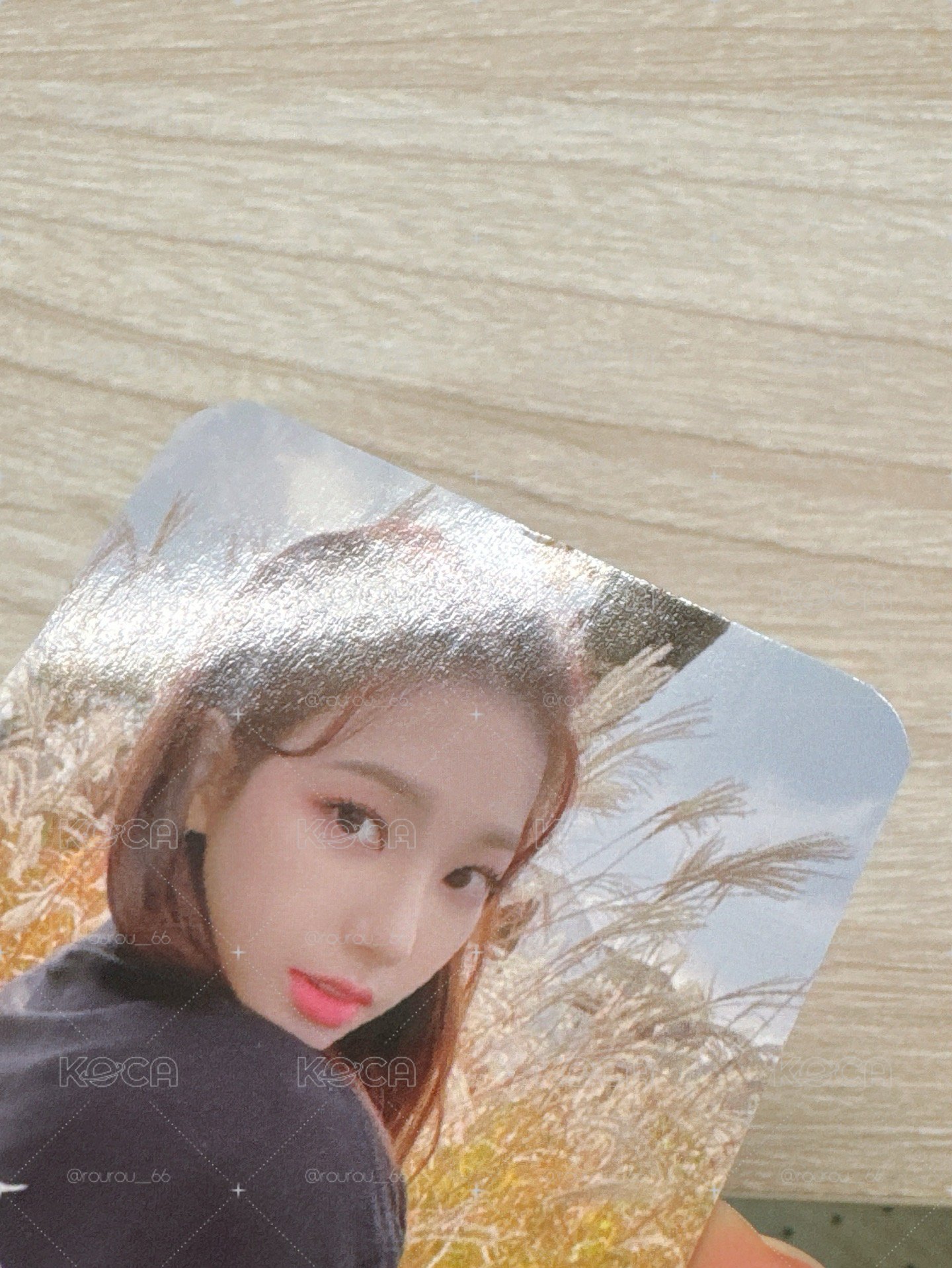 Savage 美網盒子 蘆葦柚