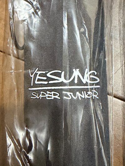Super Junior SJ 藝聲 Yesung 日巡 雨傘 ☂️