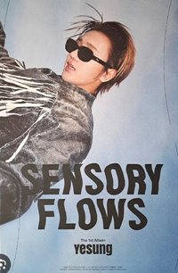 UnsensoryFlow海報 海報 