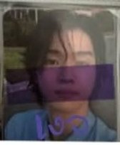 燦itta