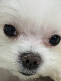 非常棒的學生