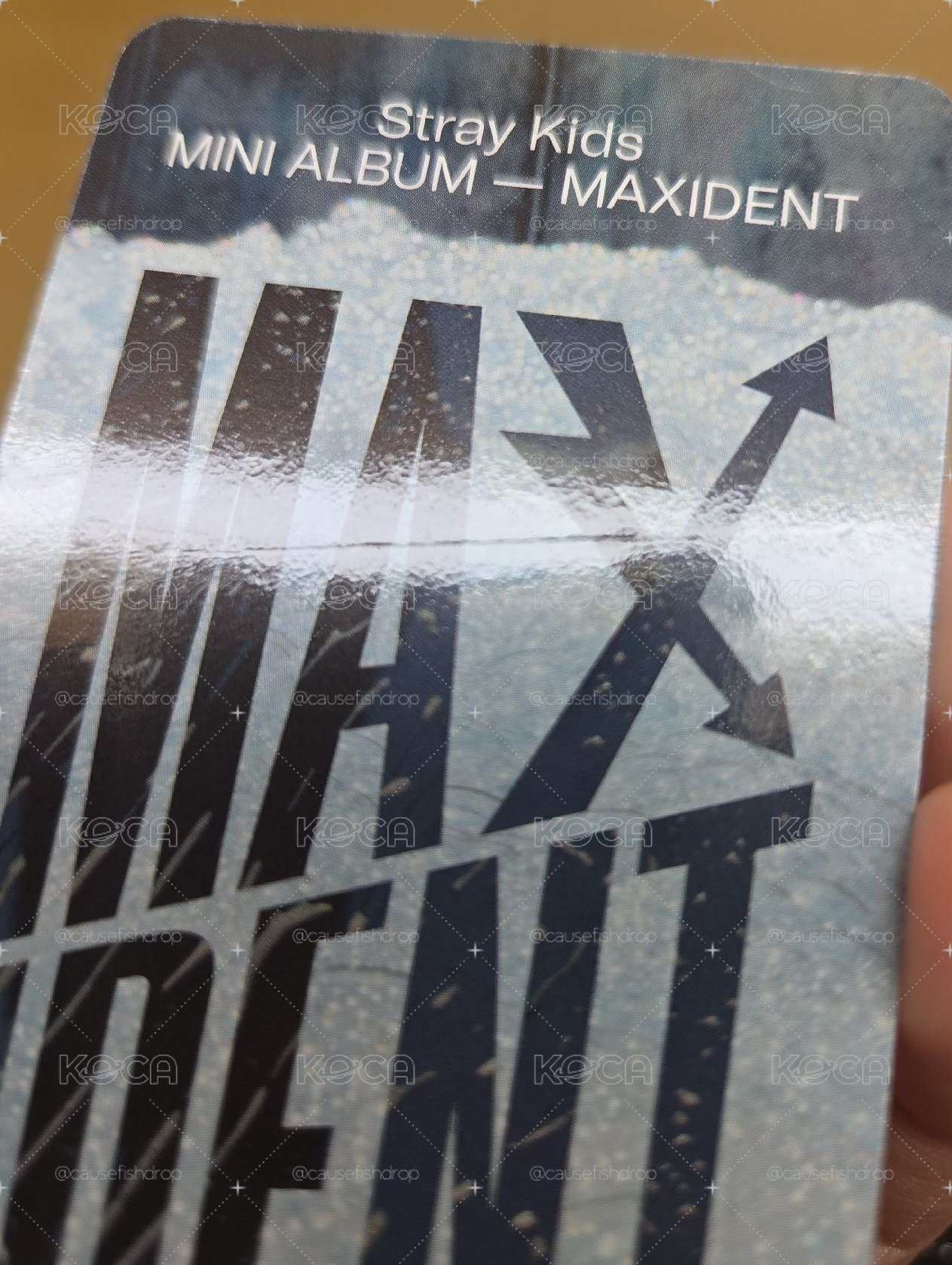 Lee Know 旻 特典 MAXIDENT