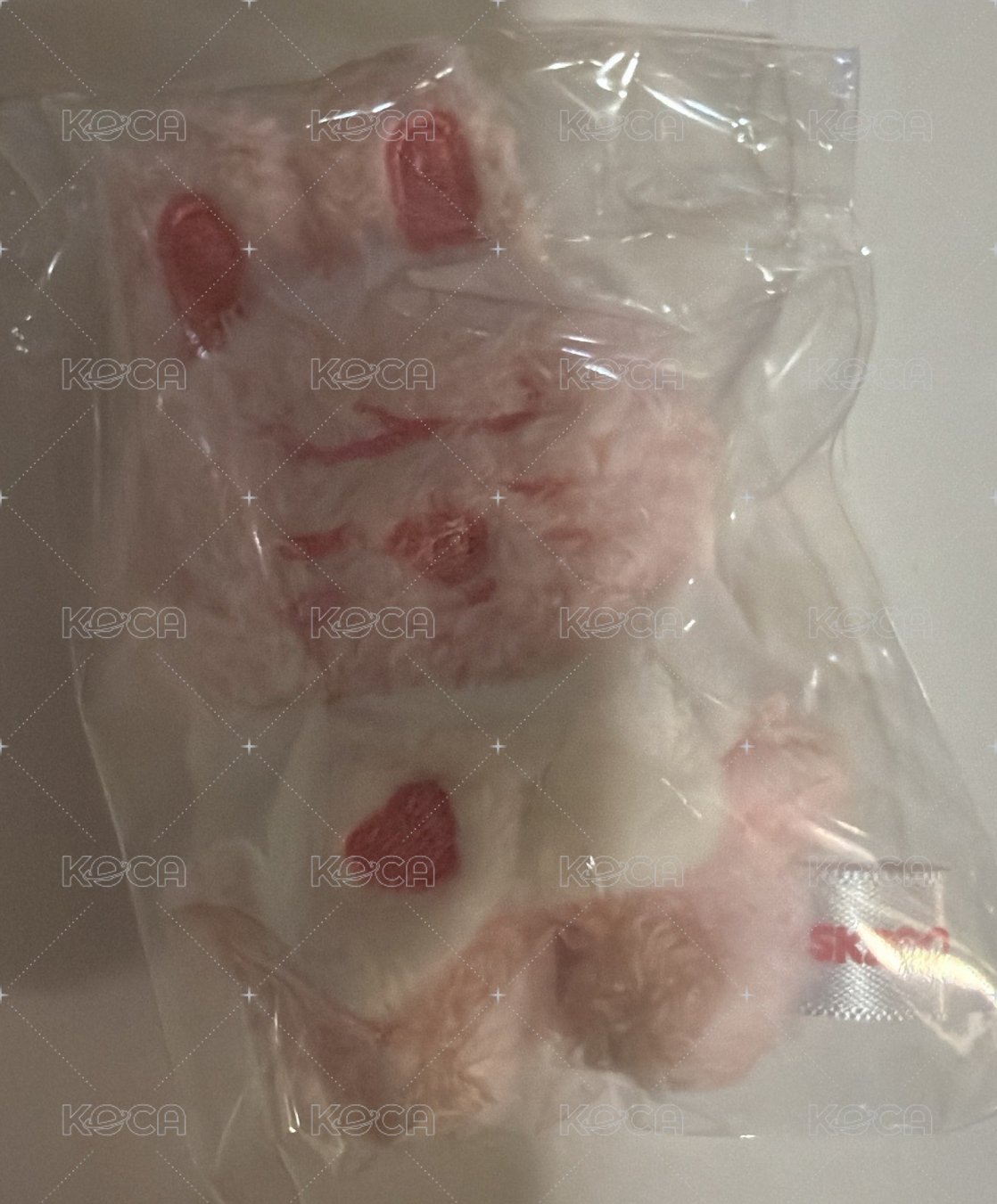 彬🍓一隻