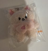 寅原皮一隻