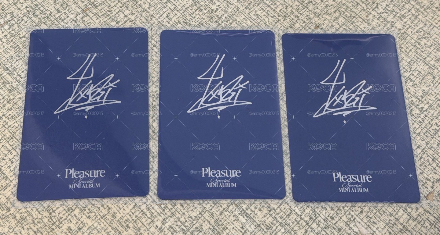 pleasure專輯卡 
