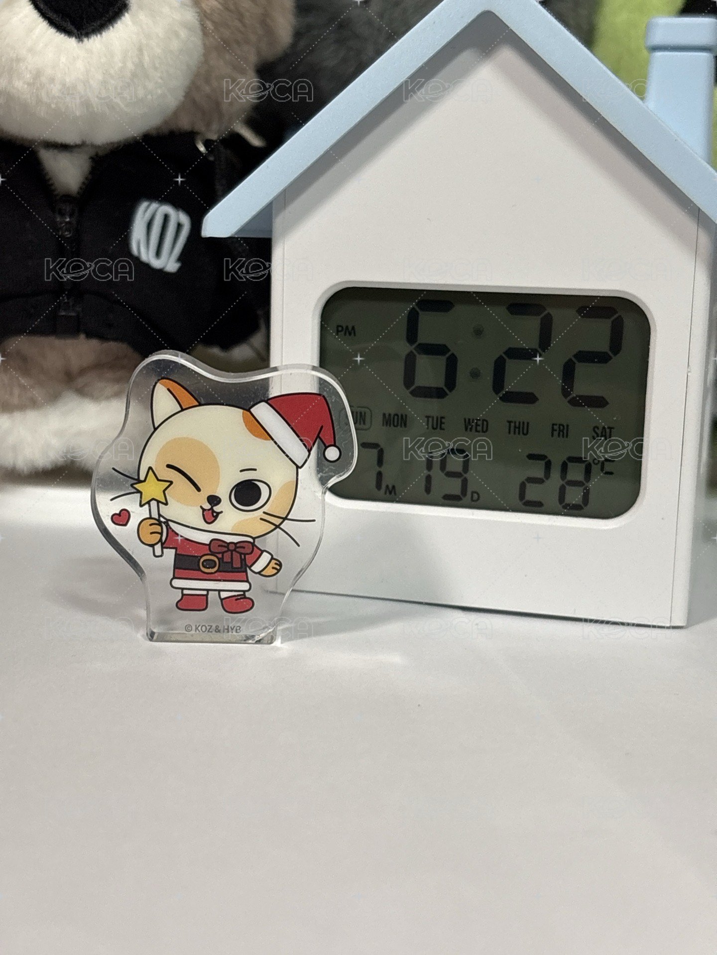 貓比