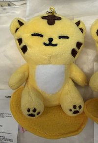 Miniteen原皮坐娃-榮🐯