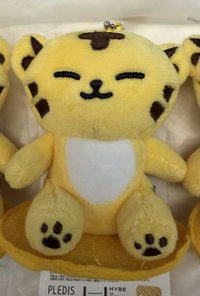Miniteen原皮坐娃-榮🐯