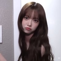 洪恩小貓採
