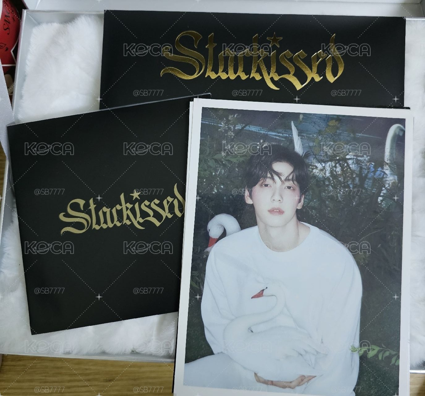 TXT starkiss空專