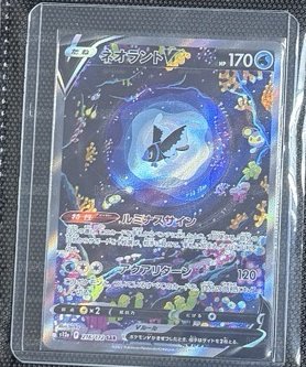 霓虹魚 SAR