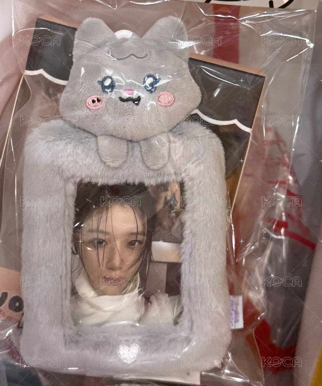 卡套+小卡（未拆）