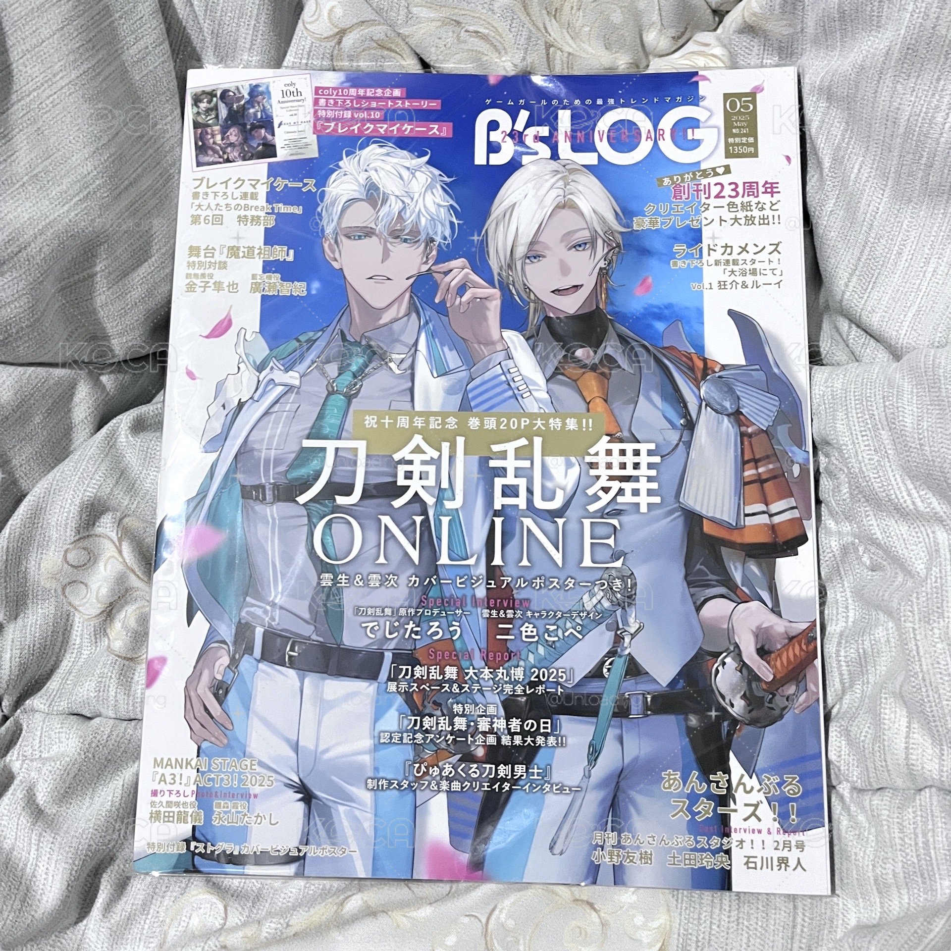 刀劍亂舞-B's-LOG 2025年5月号雜誌